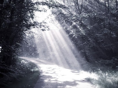 Célia POURCHAYRE, Psychologue à Saint-Germain-lès-Arpajon