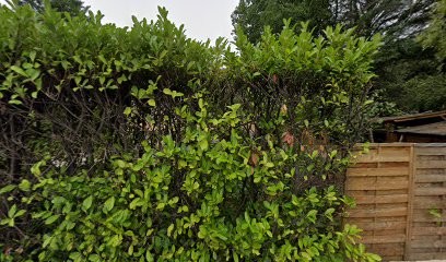 Raymond-CANNAS Patricia, Psychothérapeute à Craponne