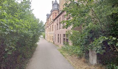 Institut Norbert Vogel, Psychanalyste à Courcelles-Chaussy