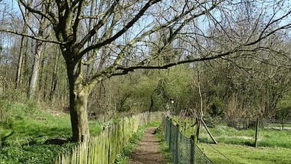 Moreau Cécile, Psychologue à Niort