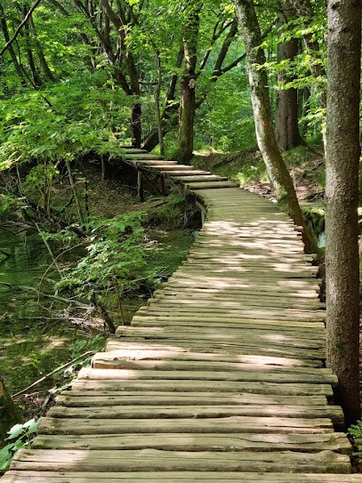 Nathalie Bouchard, Psychothérapeute au Chesnay