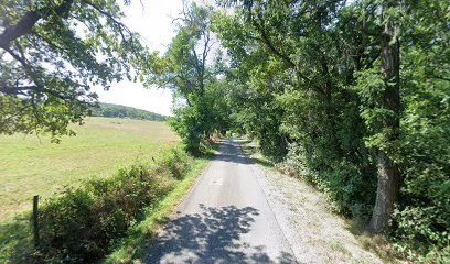 Audrey Romary, Psychothérapeute à Quintenas