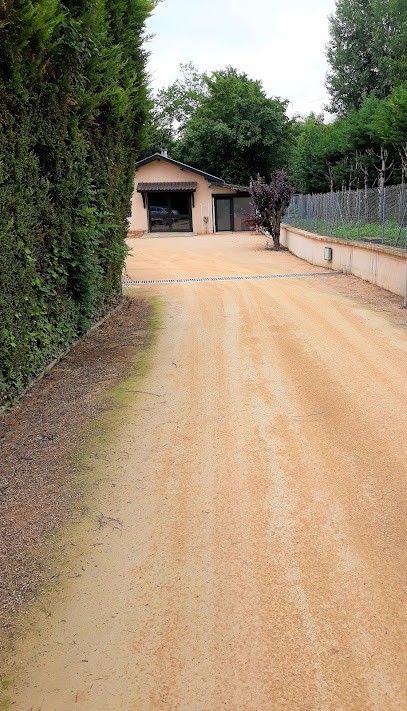 Patricia Willocq - Psychologue, Psychologue à Frans