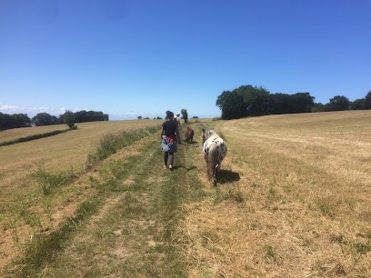 Victoire Equithérapie - Equithérapie Normandie (50), Psychothérapeute à Champeaux