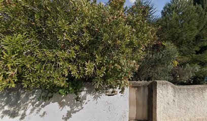 Dubois Julie, Psychologue à Sausset-les-Pins