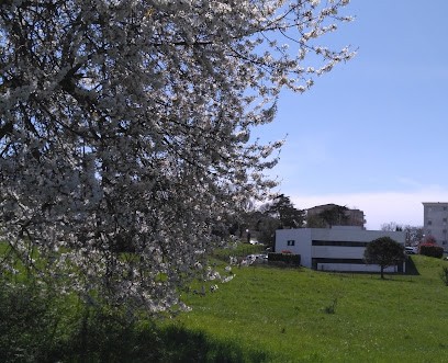 L'institut Michel Montaigne, Psychothérapeute à Cenon