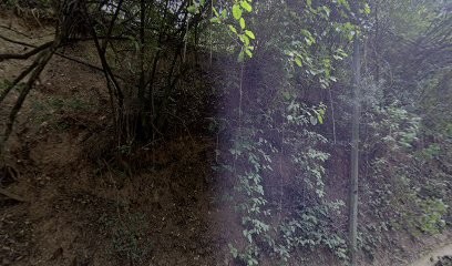 YVES CHAMBON, Psychologue à Marseille 11