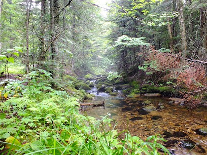 Aurelia Sida, Psychologue à Saint-Sébastien-sur-Loire
