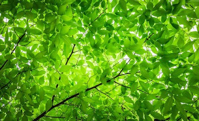 Solène Piano, Psychologue à Riom