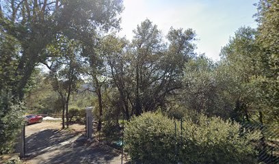 Marie-Laure Castellano, Psychologue à Montauroux