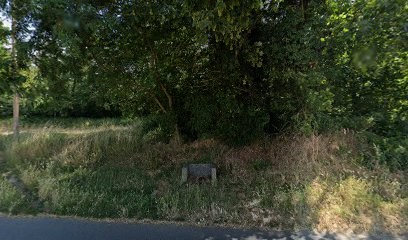 Andre Ulrike, Psychanalyste à Sathonay-Village