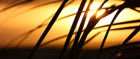 Nassira Mohamad Psychologue, Psychologue à Trappes