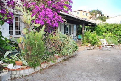 Kinésiologie et Thérapie Holistique, Psychothérapeute à Sanary-sur-Mer