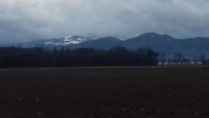 Vicedo Christian, Psychothérapeute à Fortschwihr