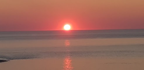 Hurt Annabel, Psychothérapeute à Couzon-au-Mont-d'Or