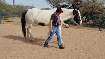 Darcy Laurence, Psychologue à La Roche-sur-Yon