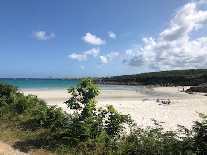 Cyril LABOUS Psychologue, psychothérapeute, hypnothérapeute, supervision et formation (équipes/professionnels), Psychologue à Plouarzel