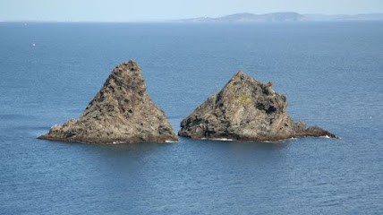 Maxime Aillaud art-thérapeute et philothérapeute, Psychothérapeute à La Seyne-sur-Mer