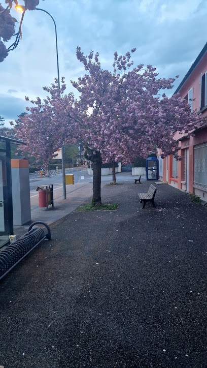 Conche Beatrice, Psychologue à Saint-Genis-Pouilly