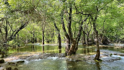 Association du Rêve au Rêveur, Psychanalyste à Venelles