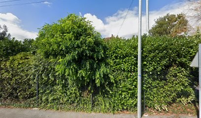 Odile Dessailly-Coste, Psychologue à Rousies