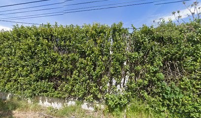 Pierrick Galvez , Cabinet De Psychothérapie, Psychothérapeute à Loriol-du-Comtat