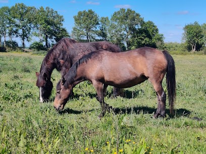 Karine Kassem Psychotherapist Le Hameau De Louvigny, Psychothérapeute à Saint-Agnan-de-Cernières
