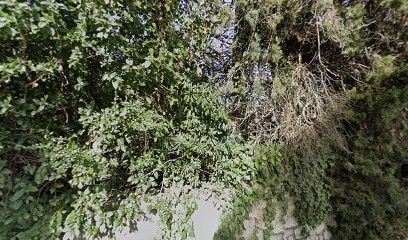 Keera Arkana, Psychothérapeute à Mouans-Sartoux