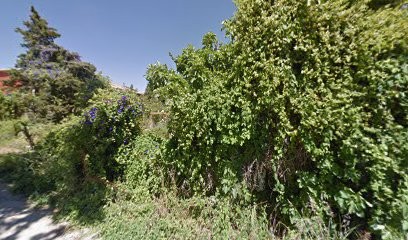 Elsa MAURIZY, Psychologue à Lattes