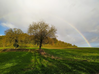Karine POIDEVIN psychologue clinicienne, Psychologue à Jaux