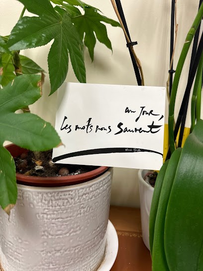 Dorothée Bruni, Psychologue à Martigues