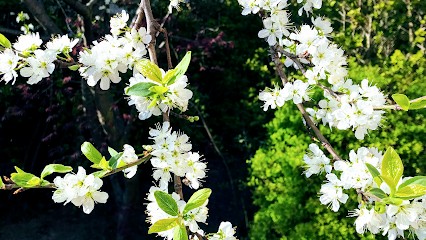 Christophe Brie Gestalt Praticien - Gestalt Thérapie, Psychothérapeute au Perreux-sur-Marne