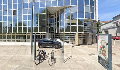 ligne de vie, Psychothérapeute à Voiron