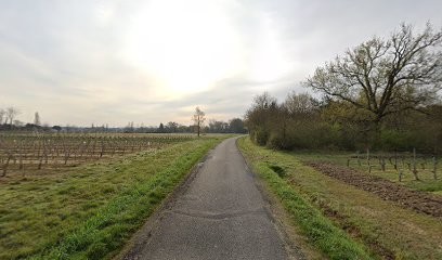 Psychologue à domicile - Marie Jallaguier, Psychologue à Val de Virvée