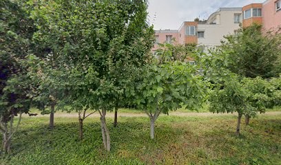 Annette M HERDER, Psychothérapeute à Blagnac