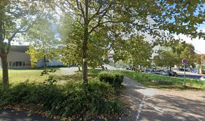 Marechal Laure, Psychothérapeute à Sarrebourg