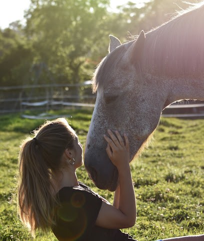 Equithérapie / Médiation Equine - Pauline MINDAA à Monein 64, Psychothérapeute à Monein