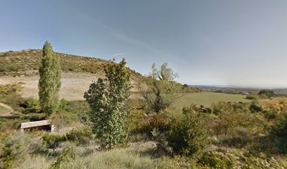 Psychopraticien, Psychothérapeute à Gras