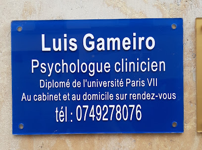 Luis Gameiro, Psychologue à Paris 02