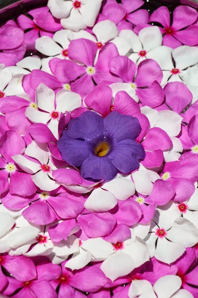 Valérie Andrianatrehina, Psychothérapeute à Puteaux