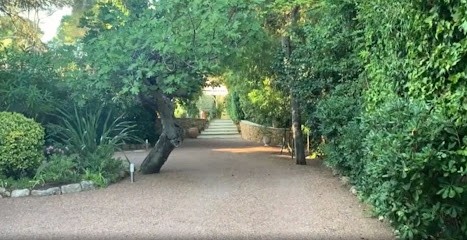 Michèle Freud Formations, Psychothérapeute à Saint-Raphaël