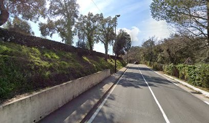 Khalam, Ateliers d'art-thérapie dans le Var et les Alpes Maritimes, Psychanalyste aux Adrets-de-l'Estérel