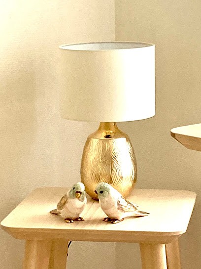 Véra Klaric psychologue, Psychologue à Meudon