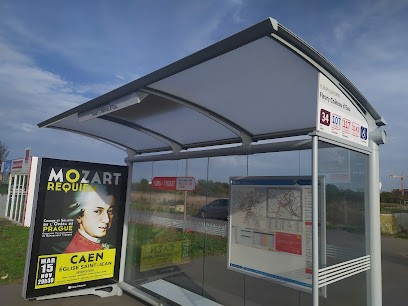 Julie Moussin -EI-Psychologue-psychothérapeute, Psychologue à Fleury-sur-Orne