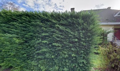 Mauro Cynthia, Psychologue à Rebreuve-Ranchicourt