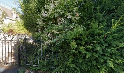 Isabelle de DUTTO, Psychothérapeute à Viroflay