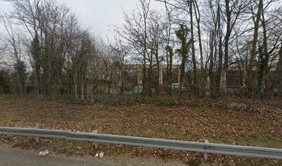 Rey Consulting, Psychologue à Pontoise