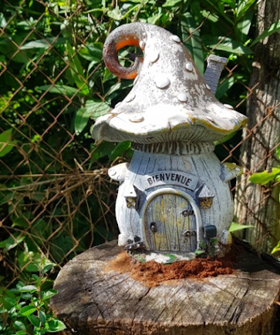 Les Fées Reiki, Psychothérapeute à Mérignac