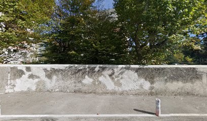 Allegro Vivace Art-thérapie, Psychothérapeute à Échirolles