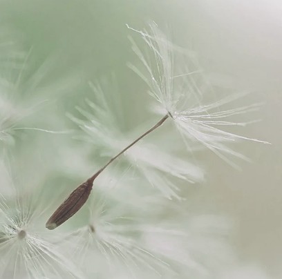 Carole LAMOUR - Psychologue, Psychologue à Santes